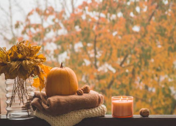 Fall Decor Trends: Cozy Up Your Home with Finds from South Edmonton Common