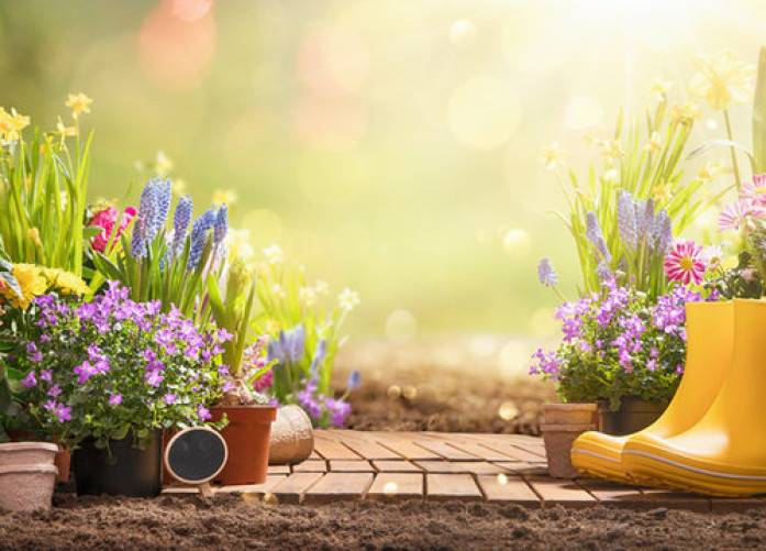 Spring Cleaning Made Fun: Home Décor and Organization Tips