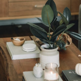 Lifestyle Directory & Retailers at South Edmonton Common