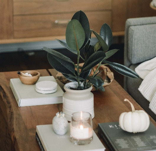 Lifestyle Directory & Retailers at South Edmonton Common